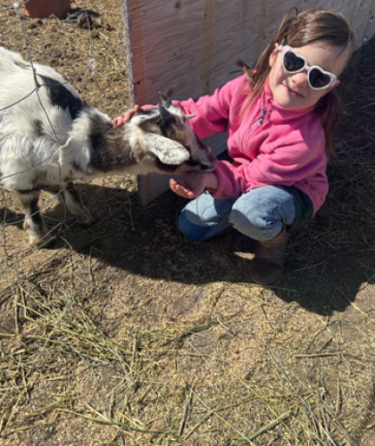farm
