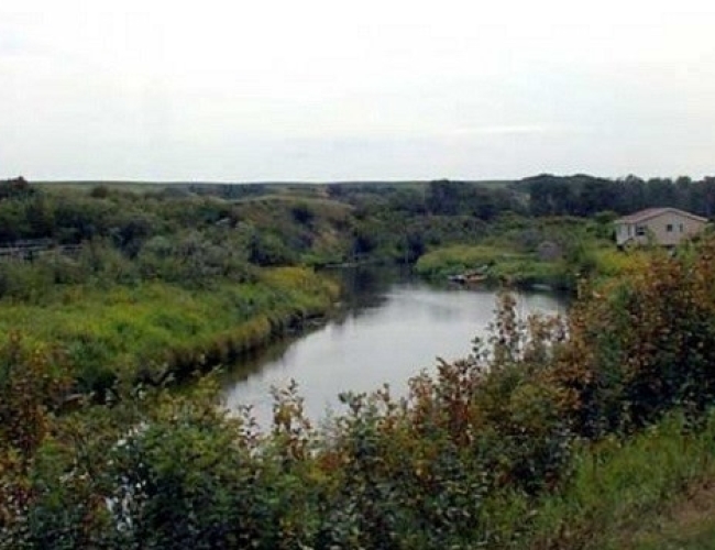 Eagle Creek Birdwatching Tour