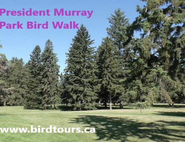 President Murray Park Bird Walk