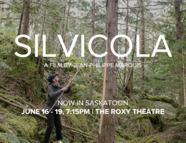 A banner image of a man peeling the bark from a tree in a densely forested area. Text overlayed reads the title of the film "SILVICOLA a film by Jean-Philippe Marquis". Smaller text below reads "Now in Saskatoon, June 16-19, 7:15PM at The Roxy Theatre"