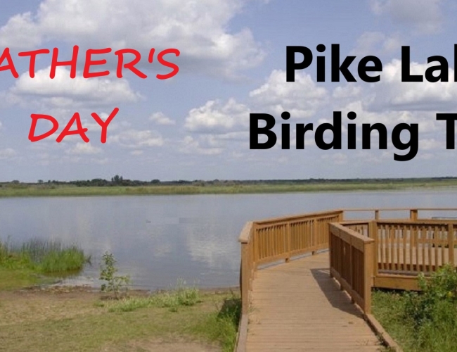Father's Day - Pike Lake Birding Tour
