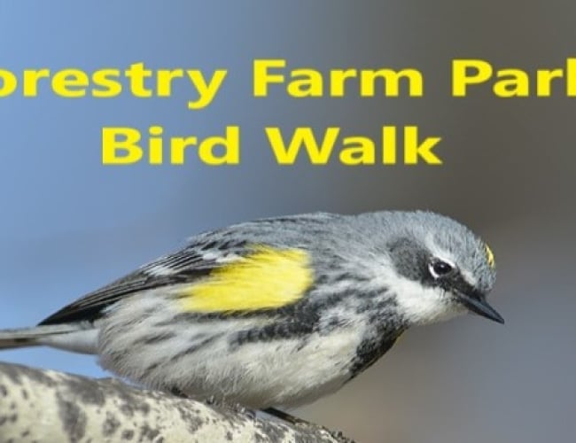 Forestry Farm Park Bird Walk