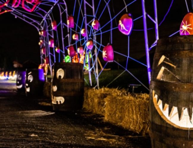 Image of pumpkin archway