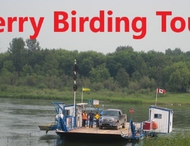 Ferry Birding Tour