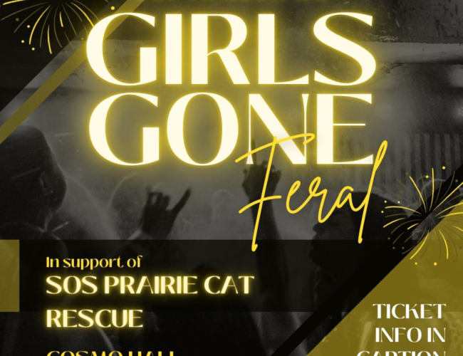 Gold writing "Girls Gone Feral" Black background 