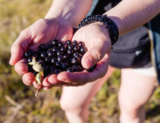 berries