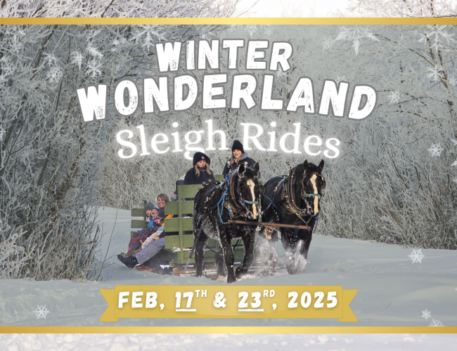 Winter Wonderland Sleighrides