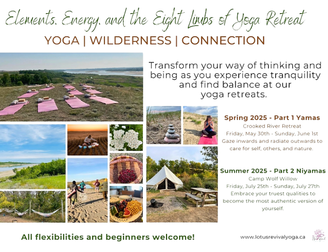 Elements, Energy, and the Eight Limbs of Yoga Retreat - Part 2 Niyamas