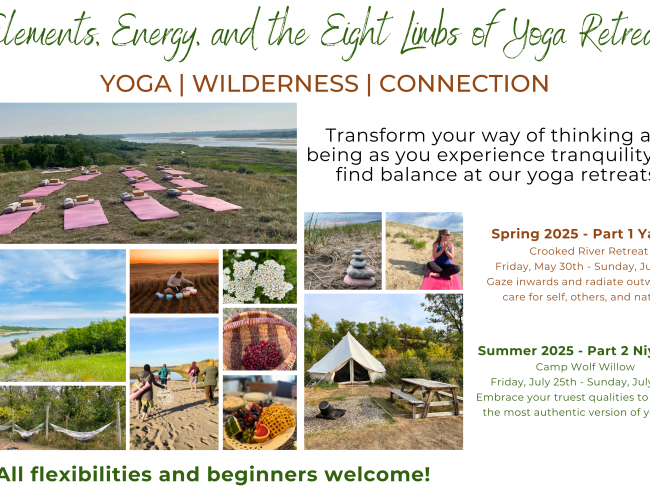 Energy Elements and the Eight Limbs of Yoga Retreat - YOGAMINDFULNESSNUTRITION