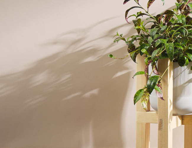 Make a Plant Stand