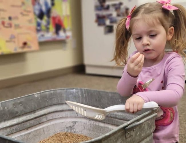 A child investigates a bucket of grain