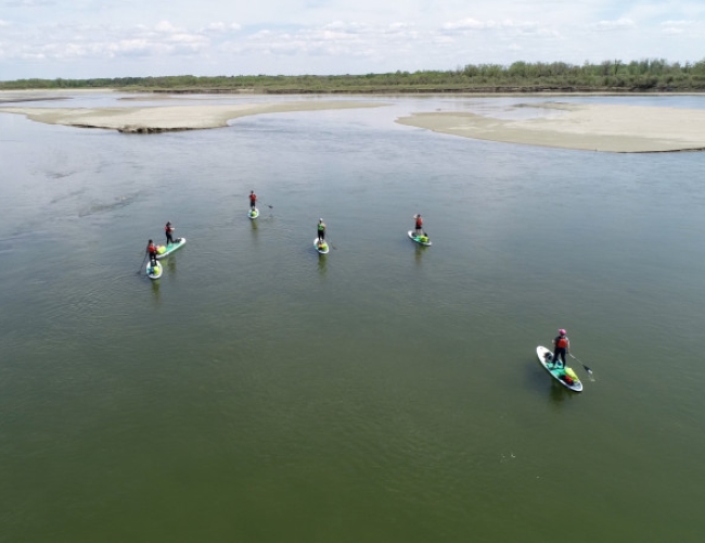 Back2Nature Wellness and Events – Stand-up Paddleboarding