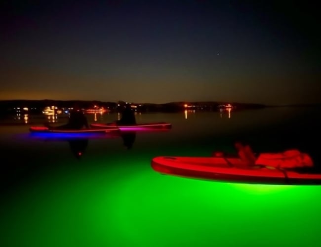 Back2Nature Wellness & Adventures - Glow Stand Up Paddle Board - Glow Stand Up Paddle Boarding