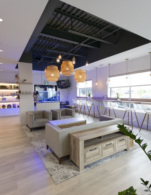 A modern office lobby adorned with lush plants