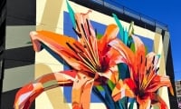 Prairie Lilly mural 